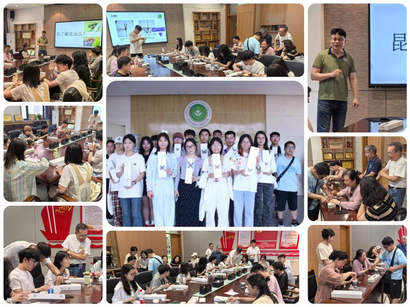 探索昆虫之美  共筑科学梦想